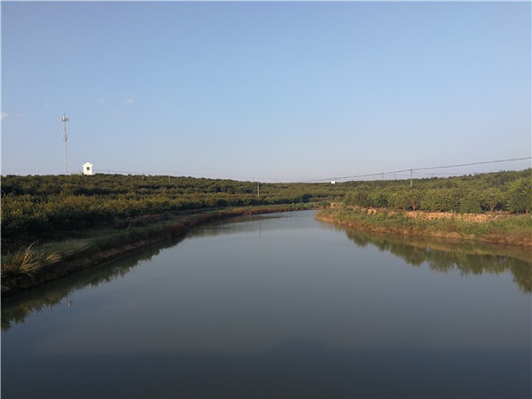 基地水景